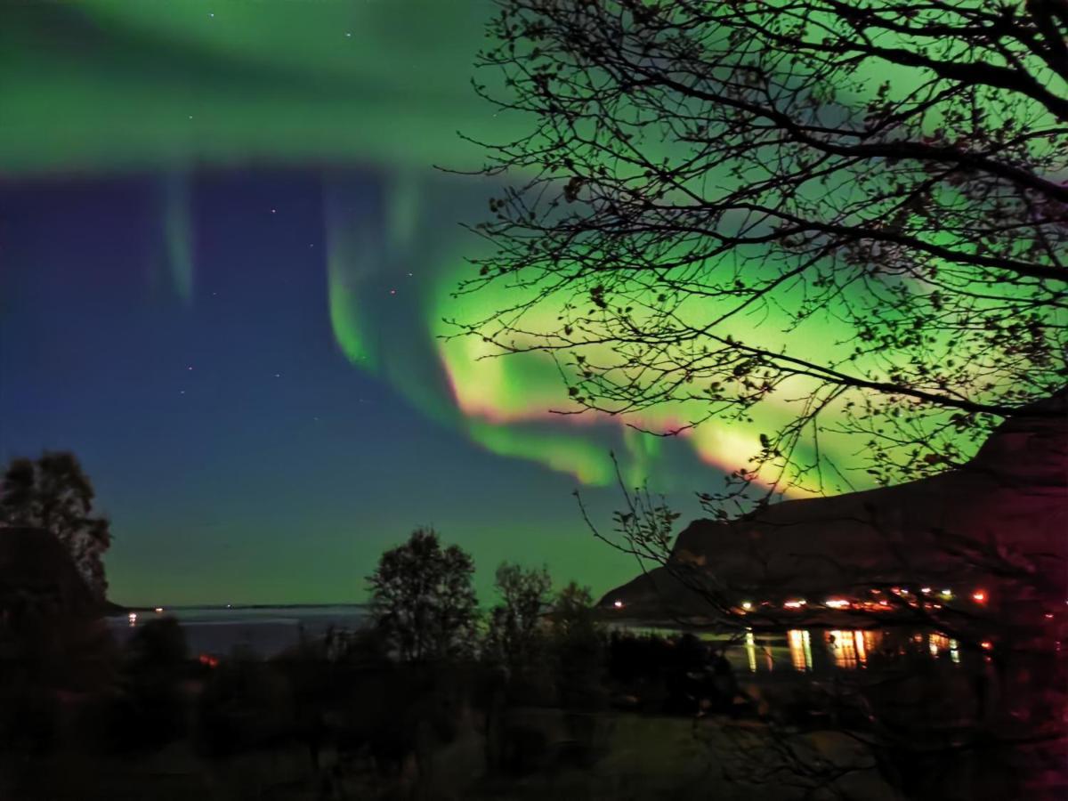 Rystad Midnight Sun And Nature Apartman Kültér fotó