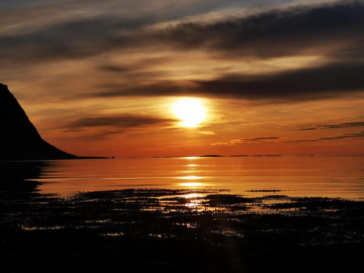 Rystad Midnight Sun And Nature Apartman Kültér fotó